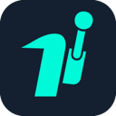 Bircasino logo